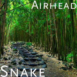 收聽Airhead的Snake (Explicit)歌詞歌曲