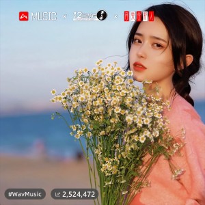 Album 第一次爱的人 from 
