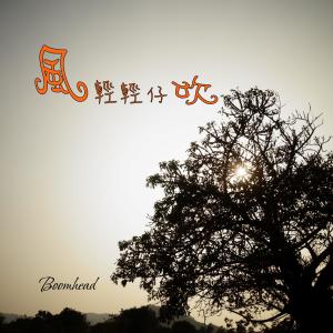 Album 风轻轻仔吹 from 想破头
