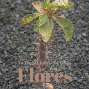 Listen to No Tengo Espinas No Tengo Flores song with lyrics from Niño Rivera