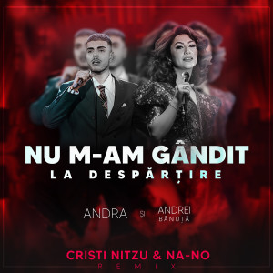 Andra的专辑Nu m-am gandit la despartire (Cristi Nitzu & NA-NO Remix)