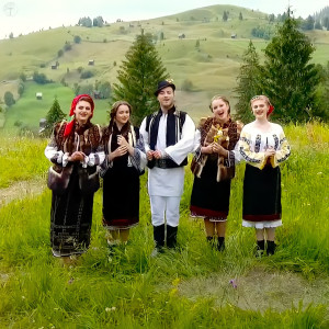Listen to Flori Din Bucovina song with lyrics from Angelica Flutur