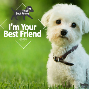 Listen to Spohr: Duo For Two Violins In D Major Op.67-2 - III. Rondo. Vivace song with lyrics from I'm Your Best Friend