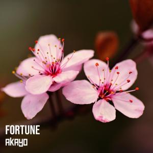 ดาวน์โหลดและฟังเพลง Fortune พร้อมเนื้อเพลงจาก Akayo