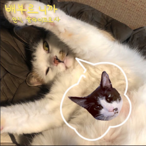 Listen to 배부르니까 (miracle morning) song with lyrics from 안지