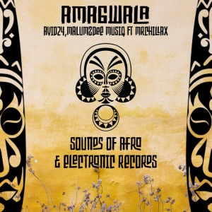 ดาวน์โหลดและฟังเพลง Amagwala พร้อมเนื้อเพลงจาก Avid24