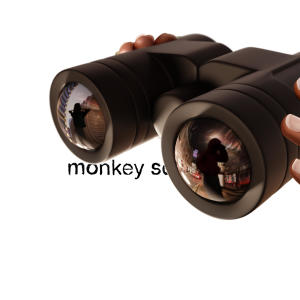 ดาวน์โหลดและฟังเพลง Monkey See พร้อมเนื้อเพลงจาก Rosier