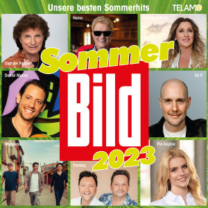 อัลบัม Sommer BILD 2023 ศิลปิน Various