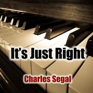 收聽Charles Segal的Its Just Right (Instrumental)歌詞歌曲