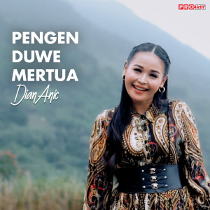 Listen to Pengen Duwe Mertua song with lyrics from Dian Anic