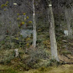 收聽Juana Sallies的4 veces el océano歌詞歌曲