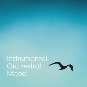 Instrumental Orchestral Mood dari Relaxation Study Music