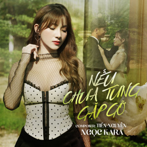 ดาวน์โหลดและฟังเพลง Nếu Chưa Từng Gặp Gỡ (AM Remix) พร้อมเนื้อเพลงจาก Ngọc Kara