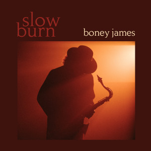 อัลบัม All I Want Is You (Sped Up Stepper Version) ศิลปิน Boney James