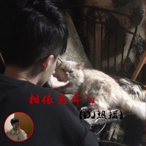 Listen to 一个人去巴黎 (DJ热播) song with lyrics from 顾小柒