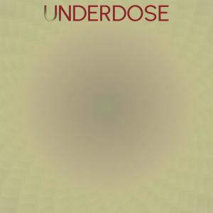 Listen to Once Finished song with lyrics from Heidrun