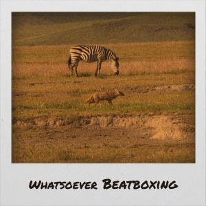 Various的专辑Whatsoever Beatboxing