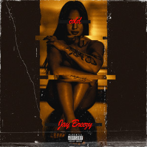 Jay Breezy的专辑Cold (Explicit)