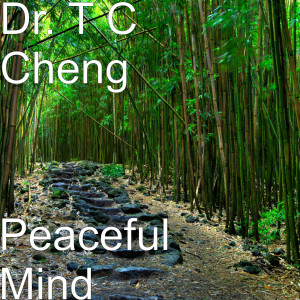 Listen to Peaceful Mind song with lyrics from Dr. T C Cheng