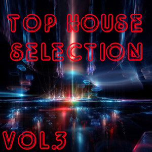 Album Top House Selection Vol. 3 from Various Artists
