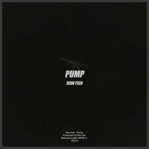 收聽Raw Fish的Pump歌詞歌曲