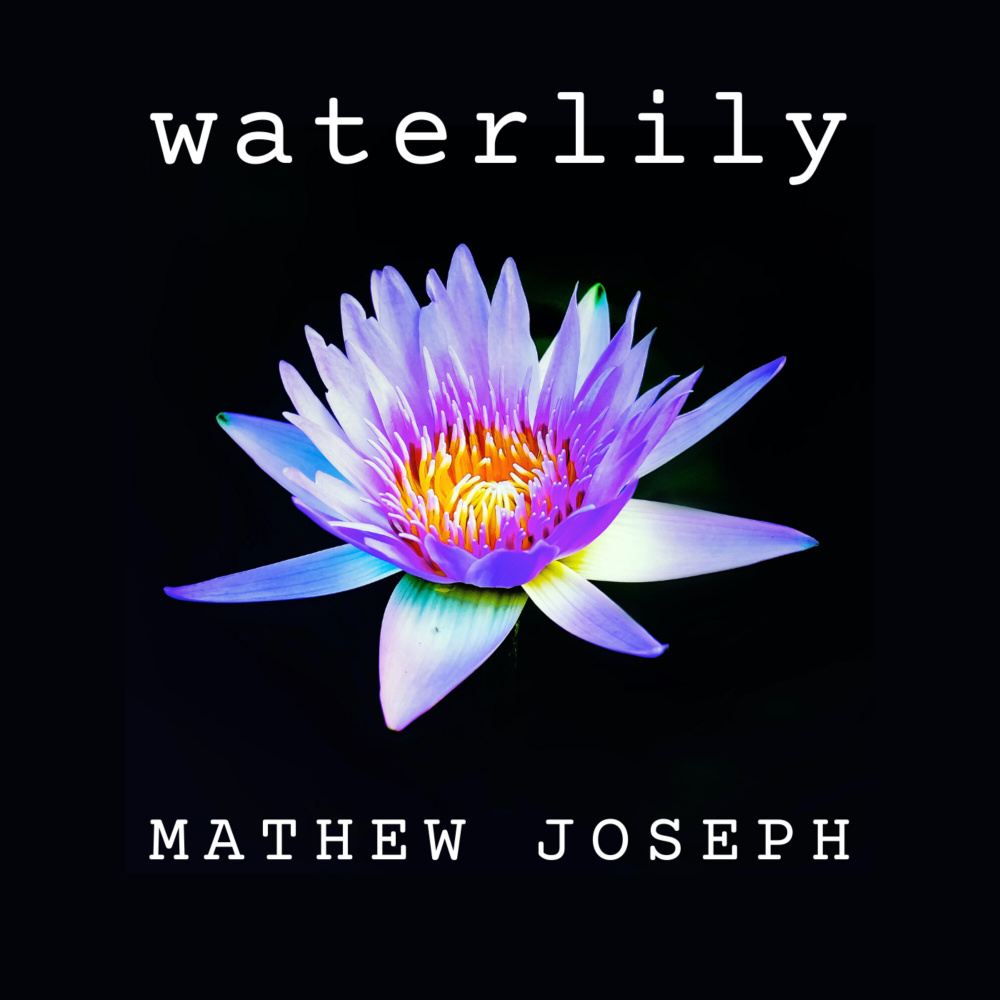 Waterlily (Solo Guitar)