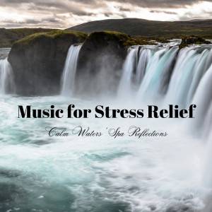 Music for Stress Relief: Calm Waters' Spa Reflections dari Water Ambience
