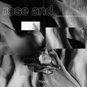 Listen to rose (feat. pavetheway, 이 새벽) song with lyrics from Nayle