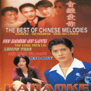 Various Artists的專輯The Best of Chinese Melodies 4