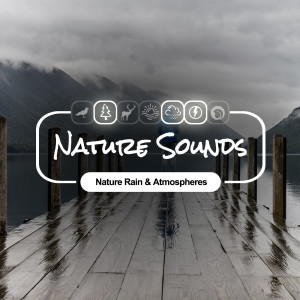 Nature Sounds的專輯Nature Rain & Atmospheres