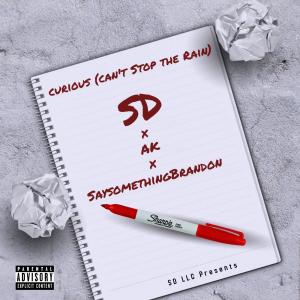 Curious (Can't stop the rain) (feat. Brandon) (Explicit)