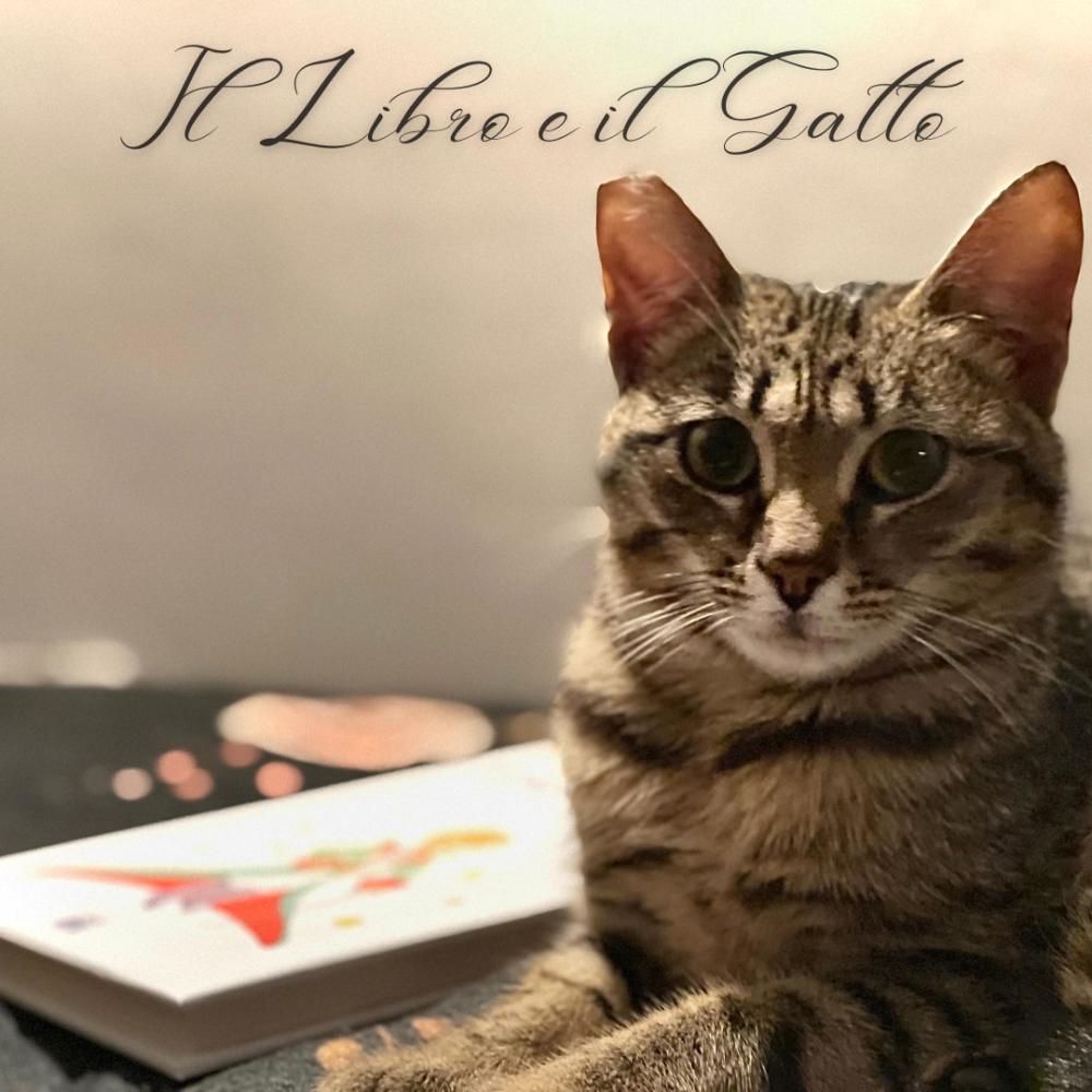 Il Libro e il Gatto