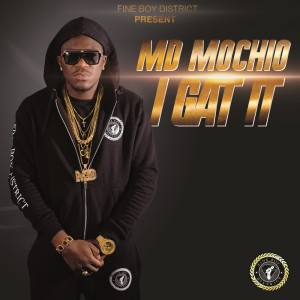 ดาวน์โหลดและฟังเพลง I Gat It (Explicit) พร้อมเนื้อเพลงจาก MD Mochio