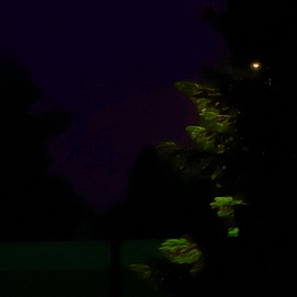verblasst.mpeg (Explicit)