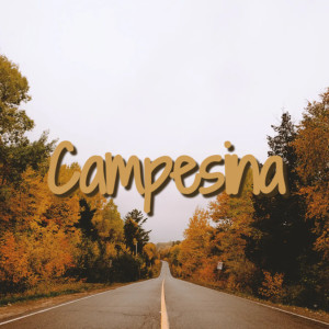 Listen to Te Quiero Mucho Mucho song with lyrics from Adilia Castillo