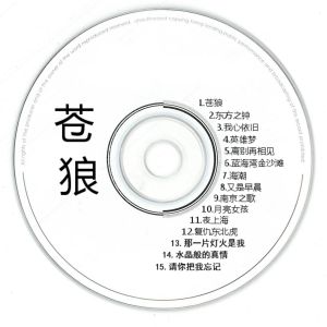 Listen to 那一片灯火是我 song with lyrics from 韩磊