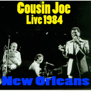 ดาวน์โหลดและฟังเพลง Married Life (Live) พร้อมเนื้อเพลงจาก Cousin Joe