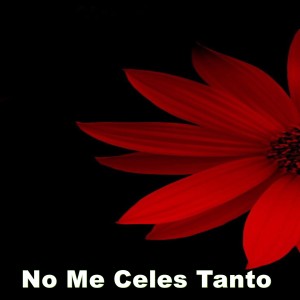 Listen to No Me Celes Tanto song with lyrics from Manny Jhovanny