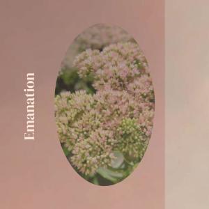 ดาวน์โหลดและฟังเพลง Injury Everglades พร้อมเนื้อเพลงจาก Aine Hatce