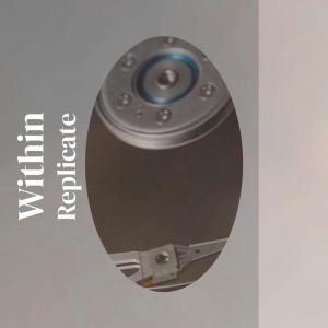 Various的专辑Within Replicate