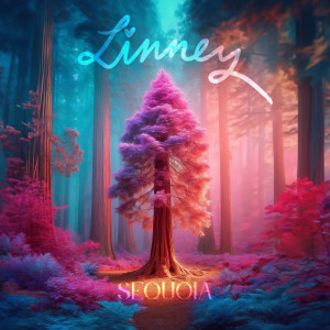 อัลบัม Sequoia ศิลปิน Diego Moura