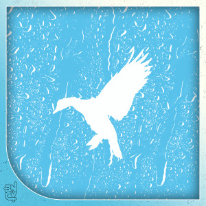 default album img