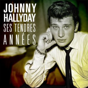 Dengarkan Take Good Care Of My Baby lagu dari Johnny Hallyday dengan lirik