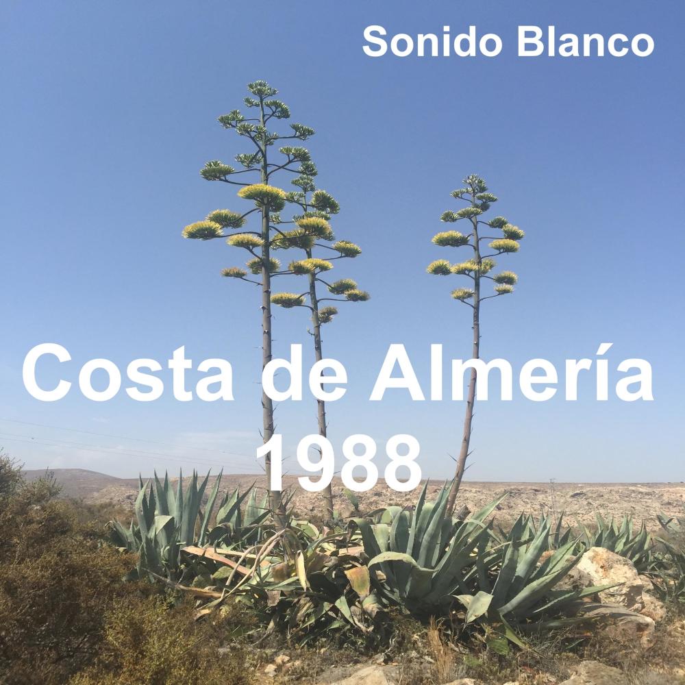A LA SOMBRA DE UN PITACO