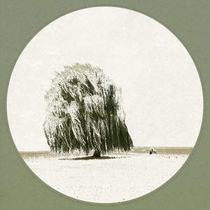 ดาวน์โหลดและฟังเพลง 버드나무 (Willow Tree) พร้อมเนื้อเพลงจาก DARIN