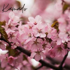 ดาวน์โหลดและฟังเพลง Kamado พร้อมเนื้อเพลงจาก Jackle The Shackle