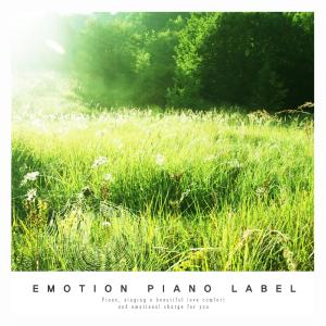 Various Artists的专辑Calm New Age piano for a peaceful sleep