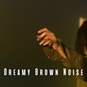 อัลบัม Dreamy Brown Noise ศิลปิน Brown Noise Baby Sleep