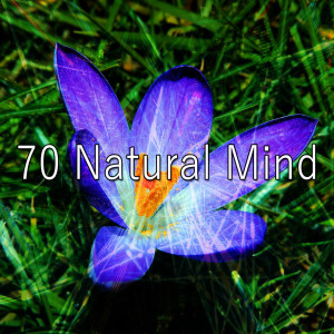 Listen to Key to Thought song with lyrics from White Noise Meditation