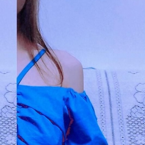 酷小狗